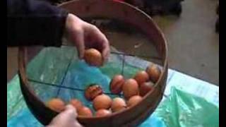 2008 Shepton Beauchamp School  Shackling Eggs [upl. by Reivad]