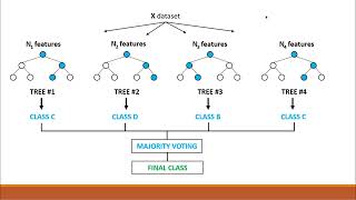 Random forest Algorithm understanding [upl. by Eiramllij]