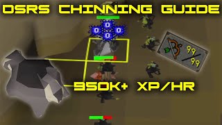 Chinning Guide  Maniacal Monkey  950k XPHR OSRS [upl. by Kearney]