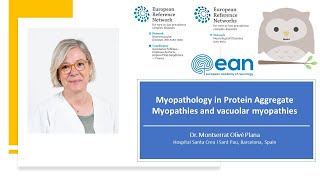 Myopathology in Protein Aggregate Myopathies and vacuolar myopathies [upl. by Goldy]