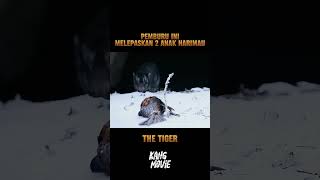 pemburu ini melepaskan 2 anak harimau  alurfilem alurceritamovie alurfilm [upl. by Fillander148]