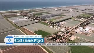 Banana Plantation Coastal Plain Israel  Automatization of Drip Irrigation System [upl. by Blanding199]