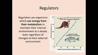 Higher Biology  24 Metabolism in Conformers and Regulators [upl. by Zora]