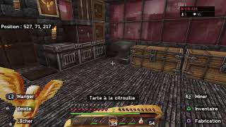 Minecraft Fr Difficile  22  Live PS4 [upl. by Anirehs]