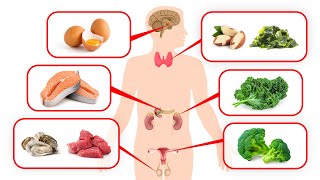 Fix Your HORMONES with the Right FOOD [upl. by Arinayed]