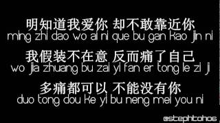 ★ PINYIN LYRICS  龚芝怡 Gong Zhi Yi  明知我爱你 Ming Zhi Wo Ai Ni ★ [upl. by Annoj681]