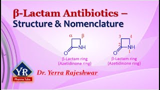 BetaLactam Antibiotics  Structure amp Nomenclature  YR Pharma Tube  Dr Yerra Rajeshwar [upl. by Magnus358]