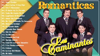 LOS CAMINANTES 30 GRANDES ÉXITOS ROMÁNTICOS  LOS CAMINANTES SUS MEJORES CANCIONES [upl. by Kyle239]