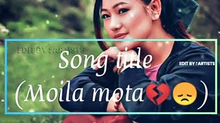 Moila mota  Nagamese song lyrics [upl. by Acile]