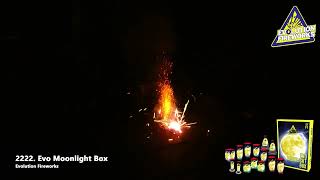 EVO Moonlight Box EvolutionVuurwerk nl [upl. by Nomelihp]