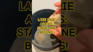 Lake Erie Agates begin their journey in the tumbler for stage one rocktumbling rockhound shorts [upl. by Datha52]