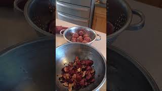 Pomegranate production making pomegranate molasses canning [upl. by Cioffred]