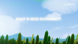 What is seed dormancy [upl. by Anitsihc]