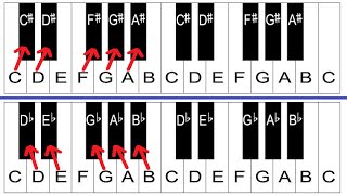 Sharps and Flats Explained  Piano Lessons For Beginners [upl. by Elsworth]