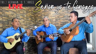 Trio Hermanos Torres  Señor yo te Conozco Live [upl. by Danaher291]