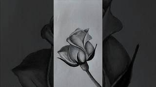 How to draw Rose easy 🌹🌹😍easy drawing shorts rose drawing [upl. by Neerom79]