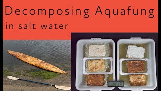 Testing the water resistance of mycelium bricks in salt water Aquafung [upl. by Darn]