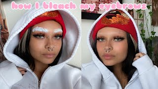 how to bleach your eyebrows ♡ [upl. by Nevaed660]