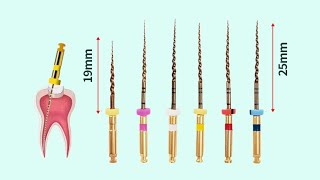 Endodontics Clinical  Rotary Instrumentation Files [upl. by Dranoc]