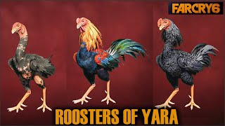 How to get the Roosters of Yara in Far Cry 6  a guide [upl. by Carin593]