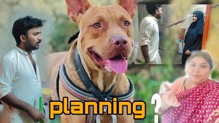 shariyar bana dog ka dinner❤️ PLANNING PAKRI GAI  AMI NY bacha Liya isko 😡 [upl. by Attayek]