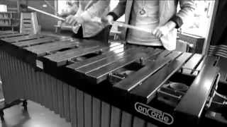 The Entertainer by Scott Joplin on marimba cover [upl. by Aseuqram881]