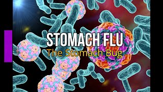 Stomach Flu The Stomach Bug [upl. by Kcirrag]