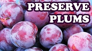 How to Preserve Plums  How to Freeze Plums  Plum Preserve by Freezing  Fruit Preserve HomeyCircle [upl. by Hoffer]