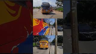 PARLENTE OLENG TIPIS GACOR KALI🤣parlente busmania huntingbus sr2teloletbasuri olengtipistipis [upl. by Anedal]