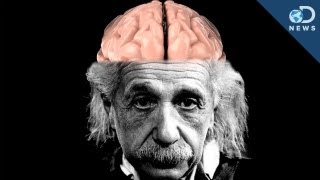 How Einsteins Brain Is Different Than Yours [upl. by Ishii]