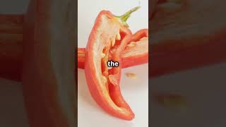 Chili Pepper Myths Busted [upl. by Leahcar795]