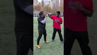 20241117  Wing Chun Brotherhood  Martial Arts Meetup at Columbus Park Chinatown NYC [upl. by Arreip]