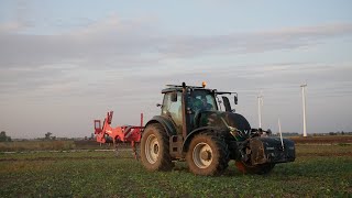 Wesołe dłutowanie w GR Mielcarek Valtra T174 Maschio Gaspardo Atilla [upl. by Hyacintha]