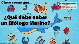 Cinco cosas que debe saber un Biólogo Marino [upl. by Maziar]