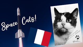 The Time FRANCE Sent a CAT to Space [upl. by Koran596]