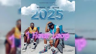 Marioo feat Stans  2025 1 Hour Loop Visualiser [upl. by Landel591]