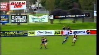 VFA Prahran Vs Werribee At Toorak Park 1993 [upl. by Atlas]