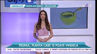 Pelinul planta care te poate vindeca [upl. by Alilad]