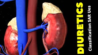 Diuretics Classification SAR and Mechanism of Action of Diuretics [upl. by Nnaycart]