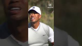 Tiger Woods RECOIL Appreciation Post [upl. by Pangaro]