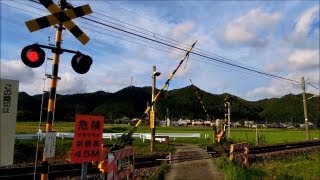 踏み切り Railway Crossing in Japan [upl. by Ecinhoj117]