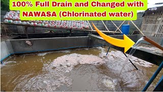 Safe ba ang NAWASA Chlorinated water sa Hito if mag Water Change [upl. by Atived945]