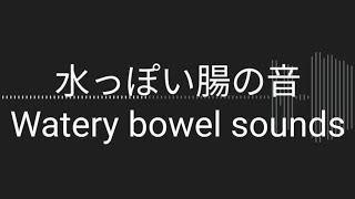 お腹の音Rumbling stomach体調不良時の水っぽい腸の音Watery bowel sounds when unwell [upl. by Zosi]