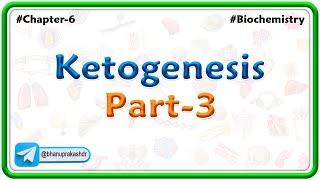 14Ketogenesis  part  3   Lipid Metabolism [upl. by Yarased]