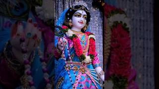 Jay shree Radha rani 🙏♥️✨ radharani bhajan trending shorts youtubestatus [upl. by Ivets]