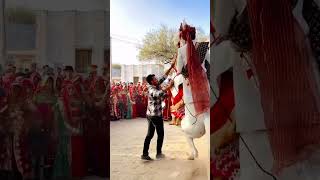 Horse dancing perfume lagave chuni medance youtube dj [upl. by Samale]