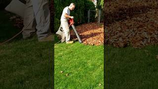 Less leaf bags Toro blowervac makes easy work of Fall cleanup leafvac lawncare fallcleanup [upl. by Anavrin]