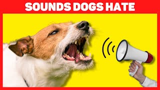 Sounds Dogs Hate 🔊🐶😡 [upl. by Airdnahs]