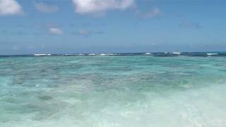 Bird Island  Seychelles Catamaran Tour [upl. by Elleved]