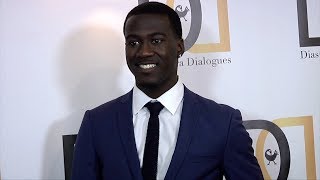 Kwesi Boakye quotThe Diaspora Dialoguesquot Premiere Launch Red Carpet [upl. by Lasley]